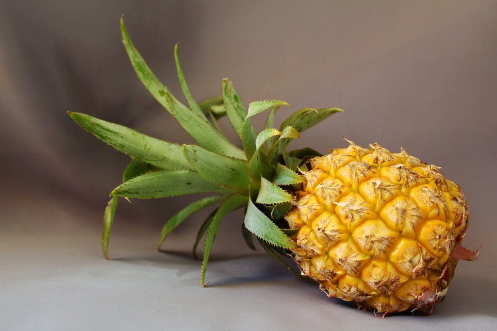 Ananas fruit