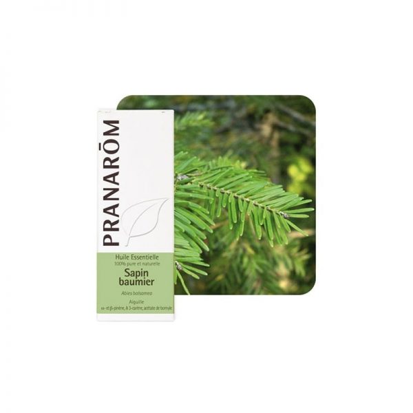 Huile essentielle de Sapin Baumier - 10ml - Pranarôm