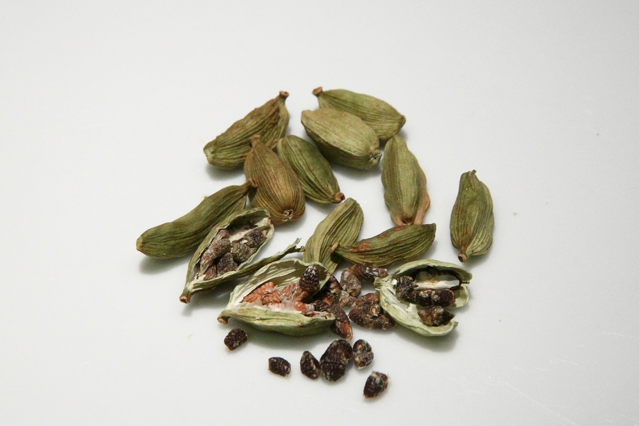 huile essentielle de Cardamome