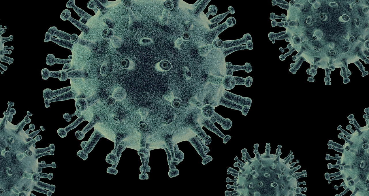 virus