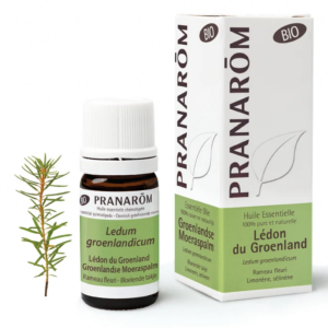 Huile essentielle Lédon du Groenland Bio - 5 ml